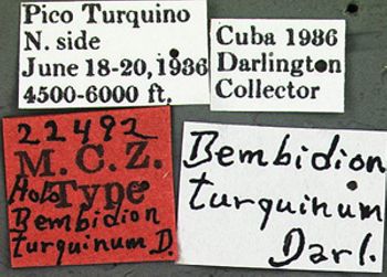 Media type: image;   Entomology 22492 Aspect: labels